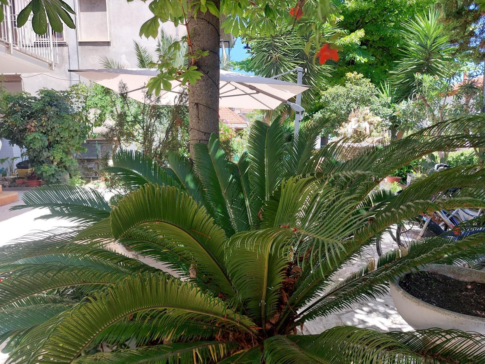 B&B La Fontanella San Benedetto del Tronto Zewnętrze zdjęcie